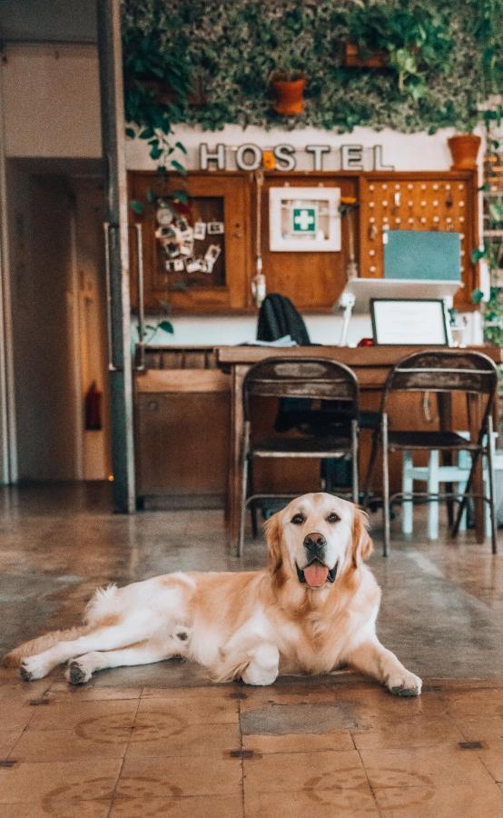 Lx Hostel Lisboa Dış mekan fotoğraf